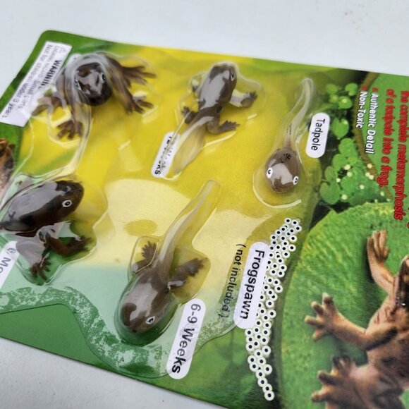 Tadpole to Frog Morphosis Life Cycle Science STEM Toys Set Kit BRAND NEW With au - Picture 4 of 10